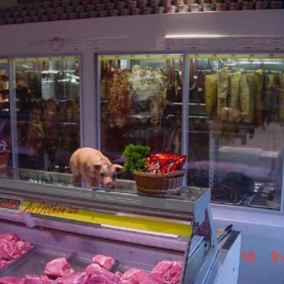 Vitrine vitrate Profesionale utilizari speciale  - Frigosztufi